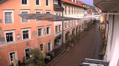 Tiengen Main Street Landscape