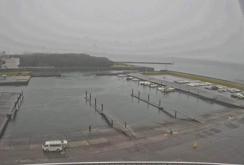 Chiba during daytime