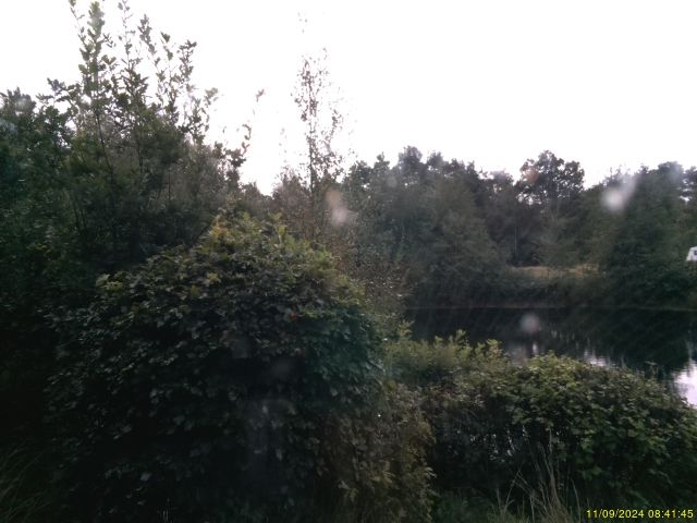 Traffic Cam Tolne › South-East: Blæsbjerg - North - My lake