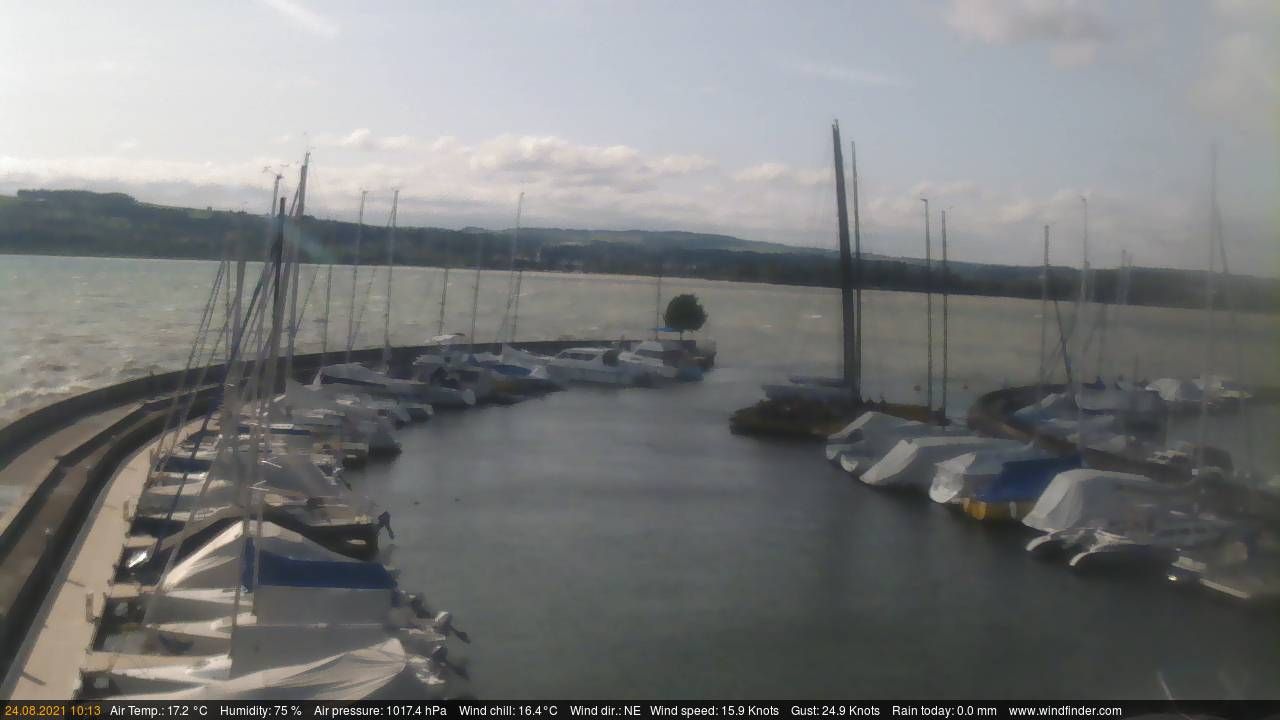 Grandson: Port de