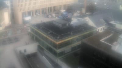 Riedbahn Landschafts-Webcam