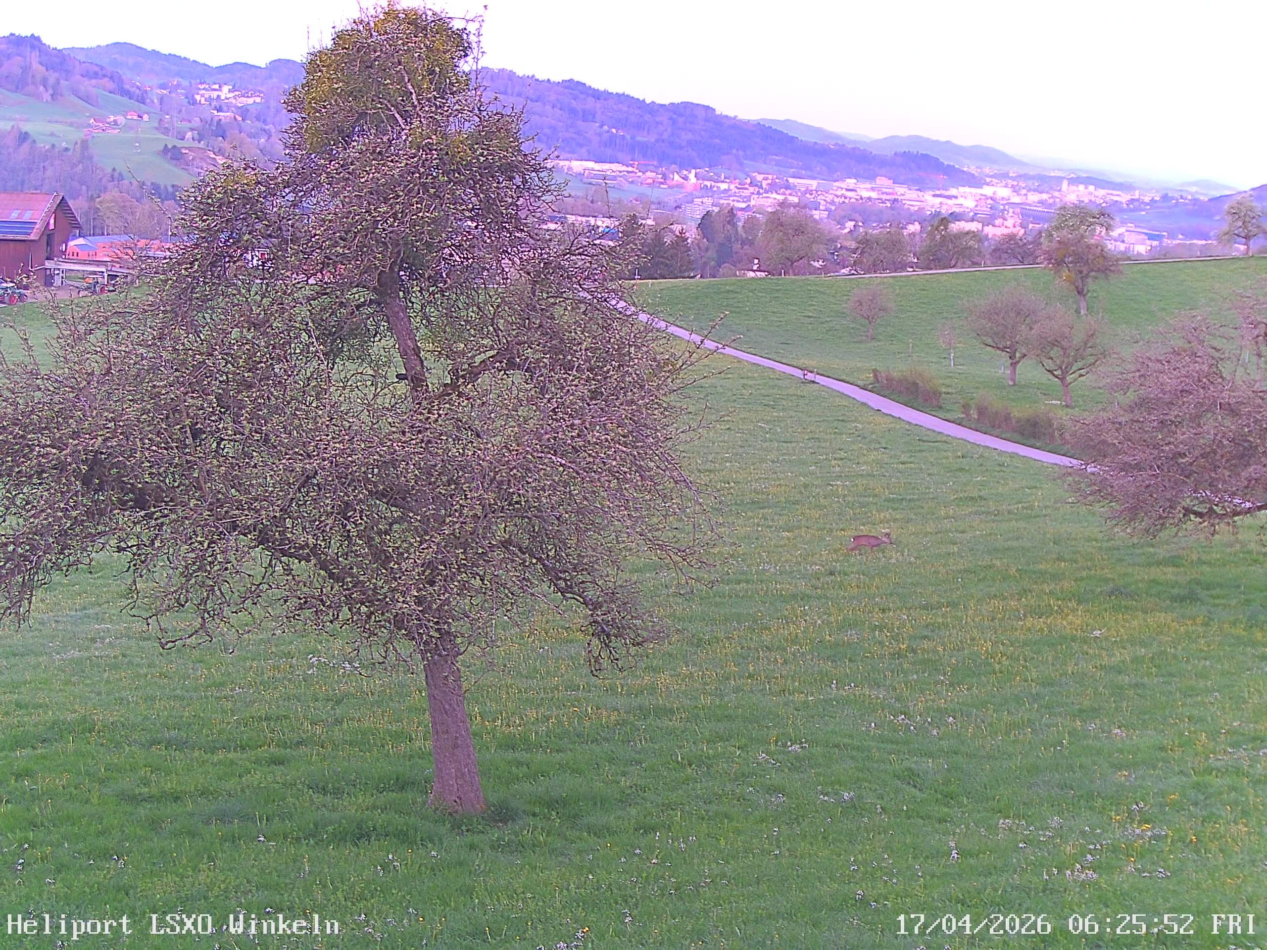 Sankt Gallen › Westen: Winkeln