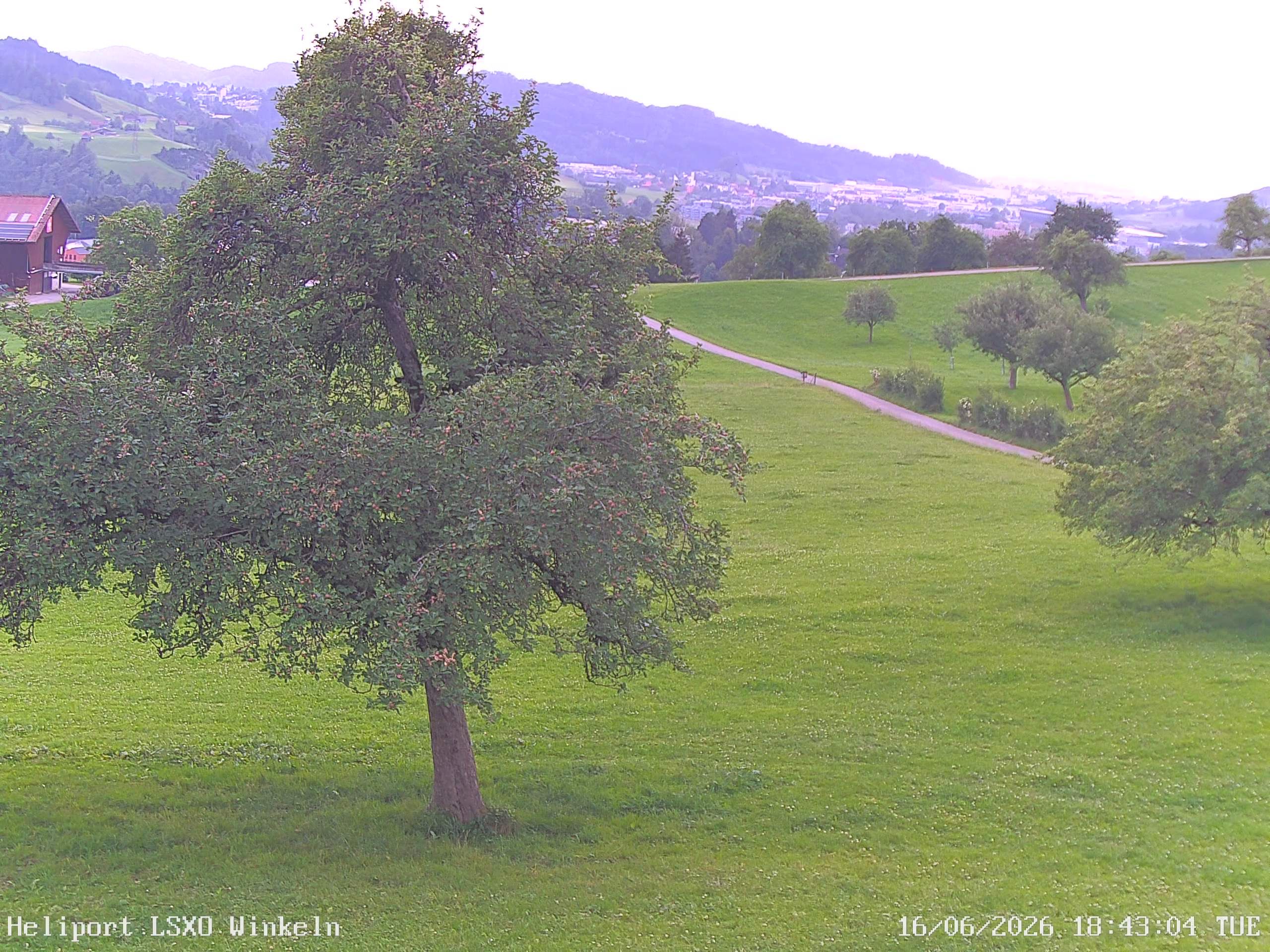 Sankt Gallen › Westen: Winkeln