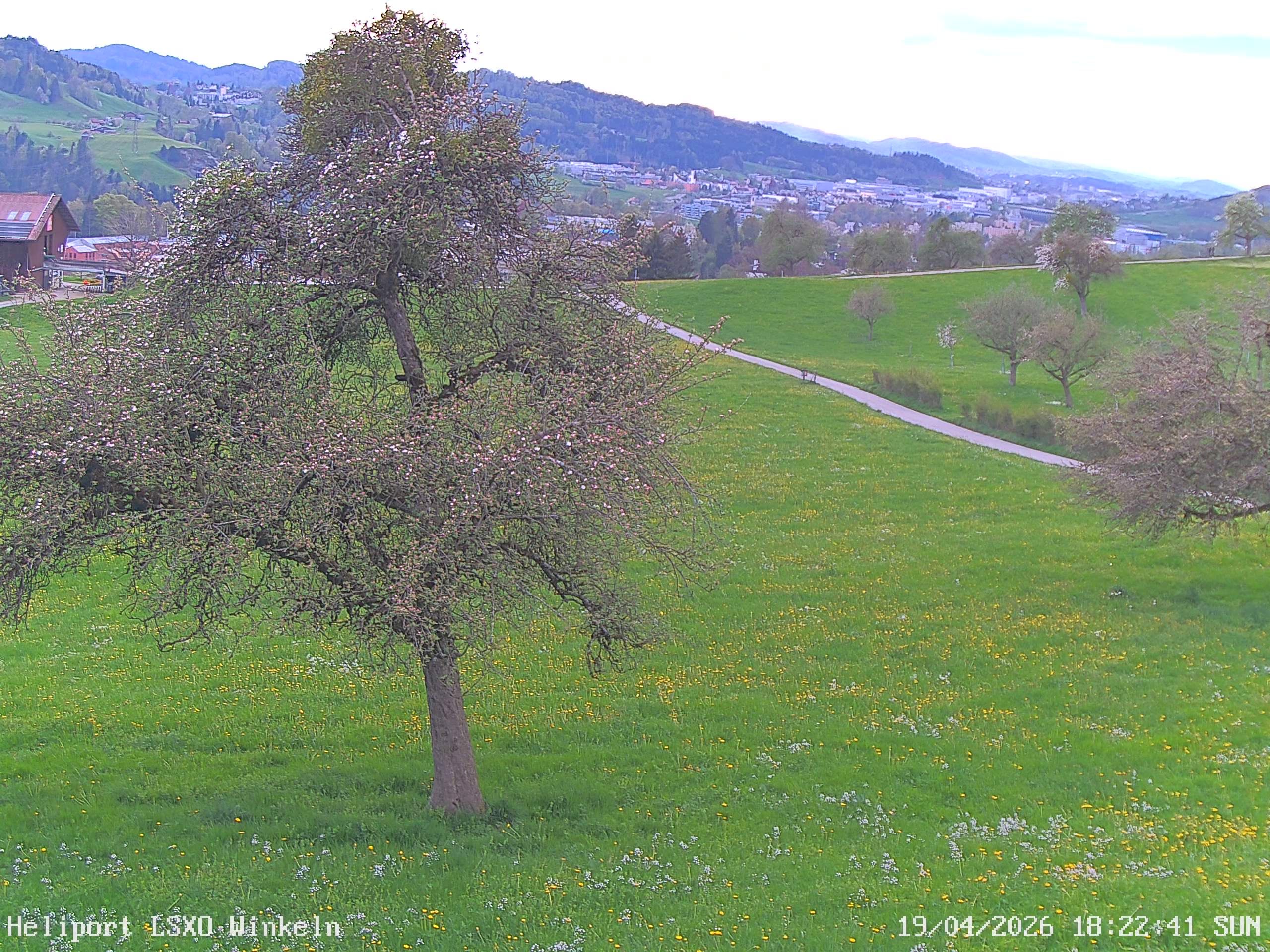 Sankt Gallen › Westen: Winkeln