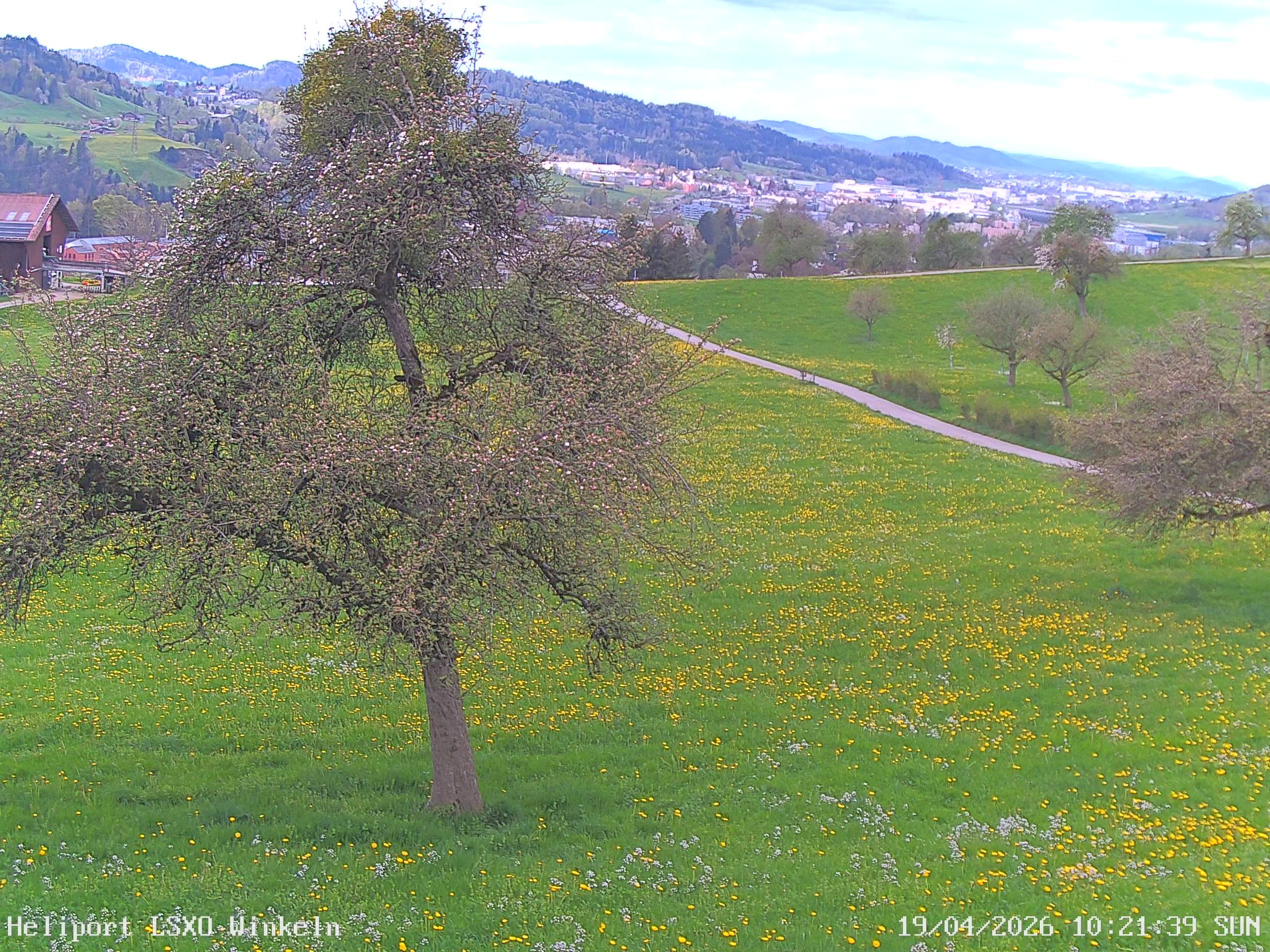 Sankt Gallen › Westen: Winkeln