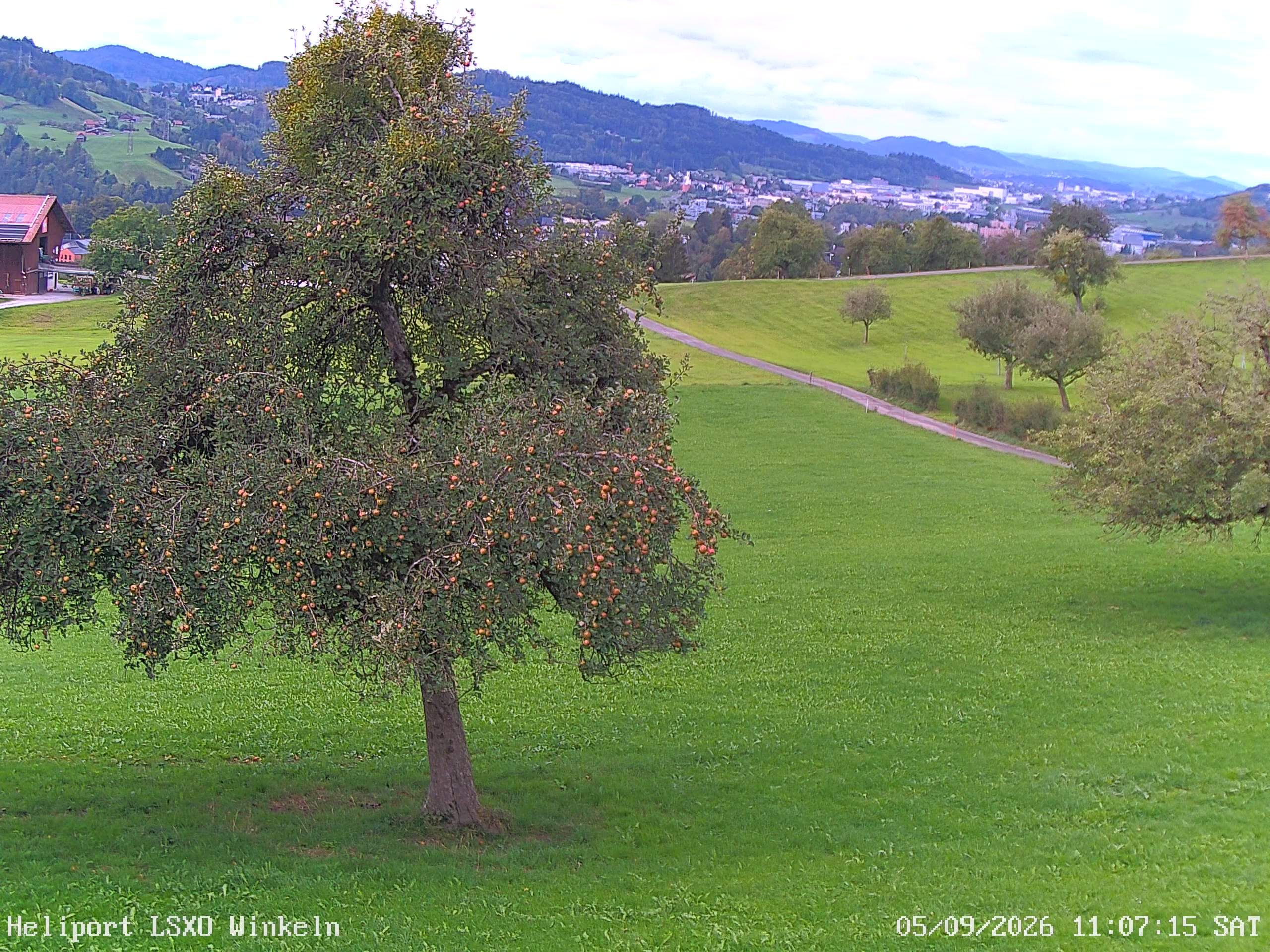 Sankt Gallen › Westen: Winkeln