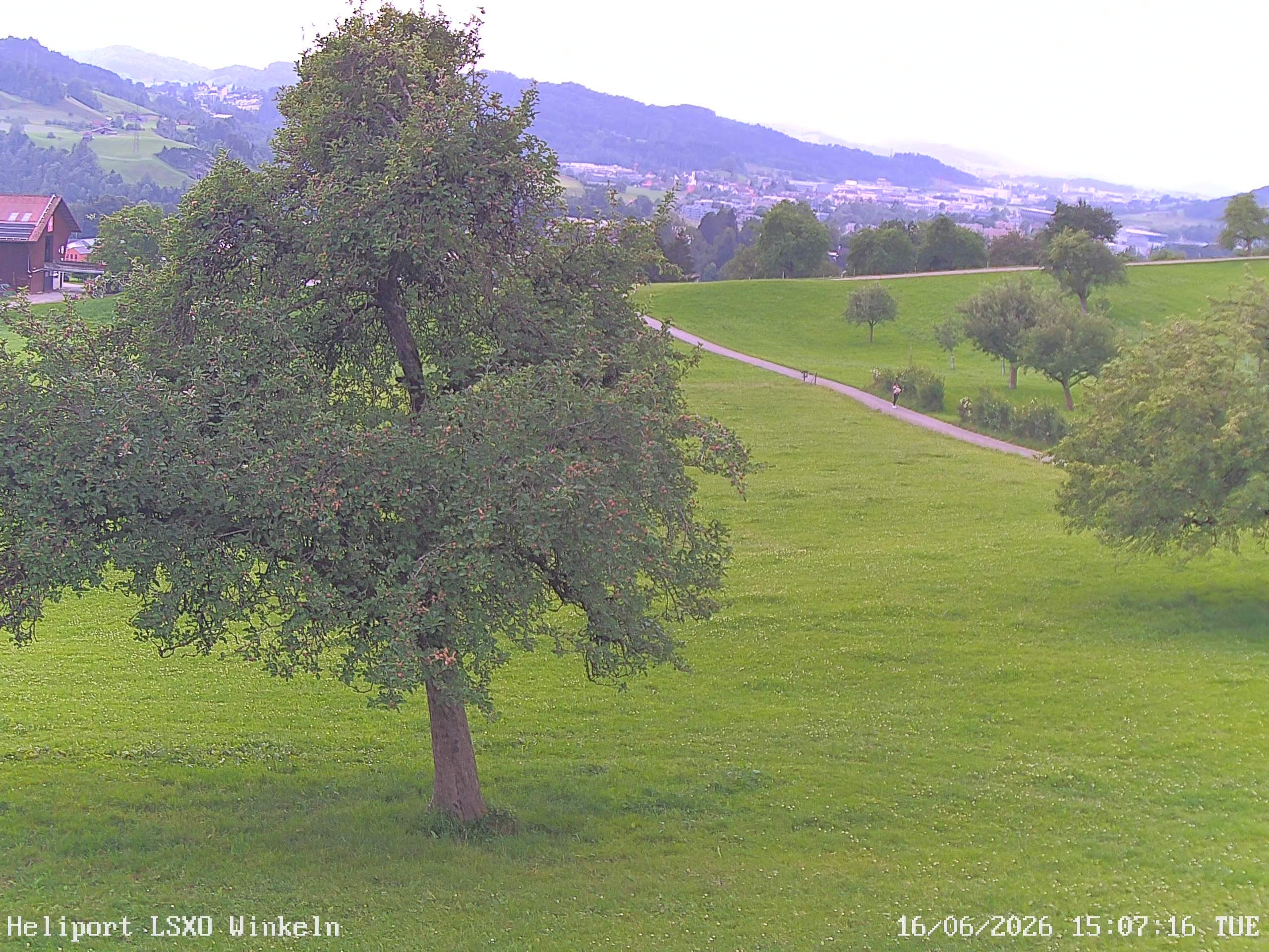 Sankt Gallen › Westen: Winkeln