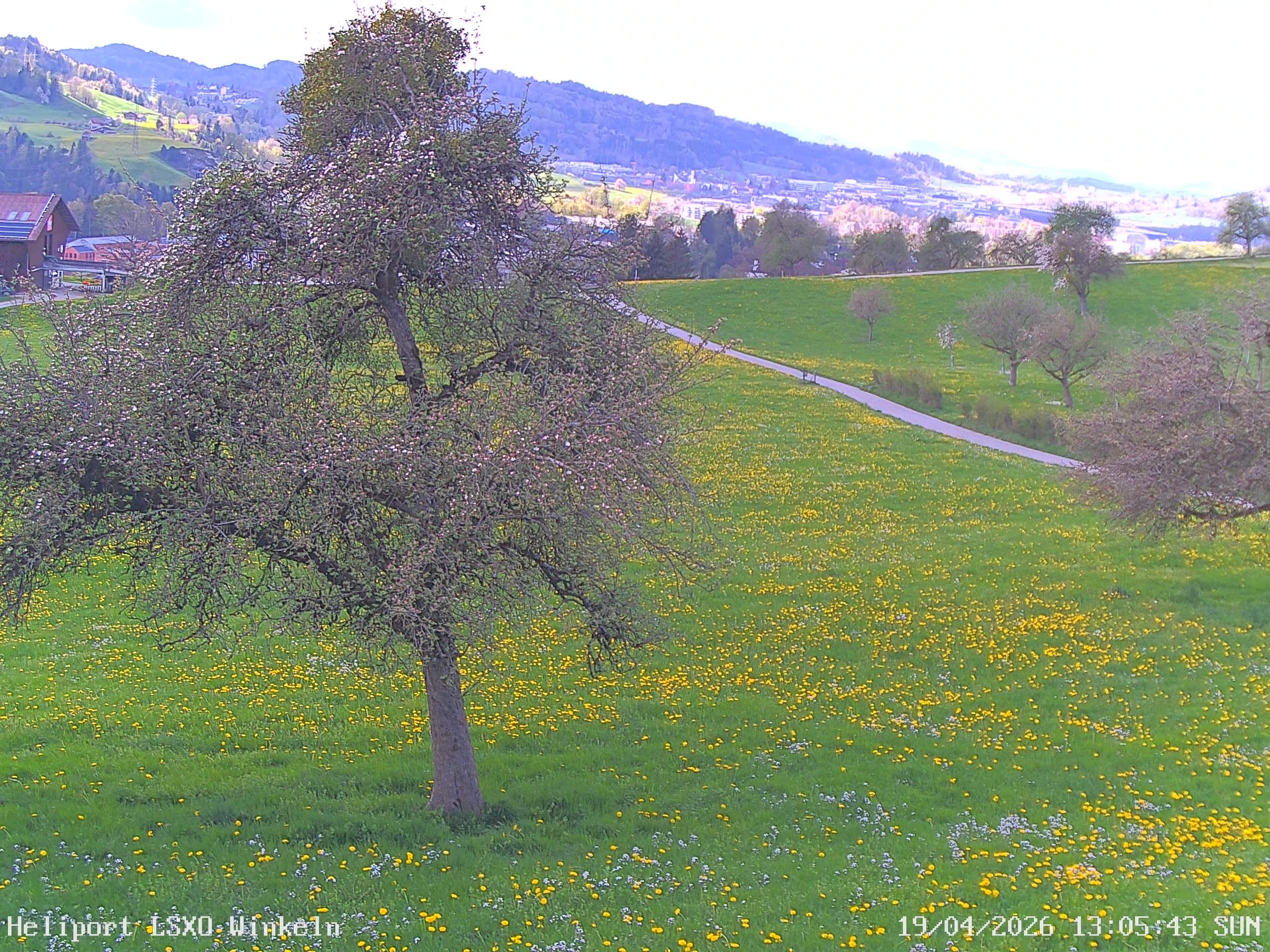 Sankt Gallen › Westen: Winkeln