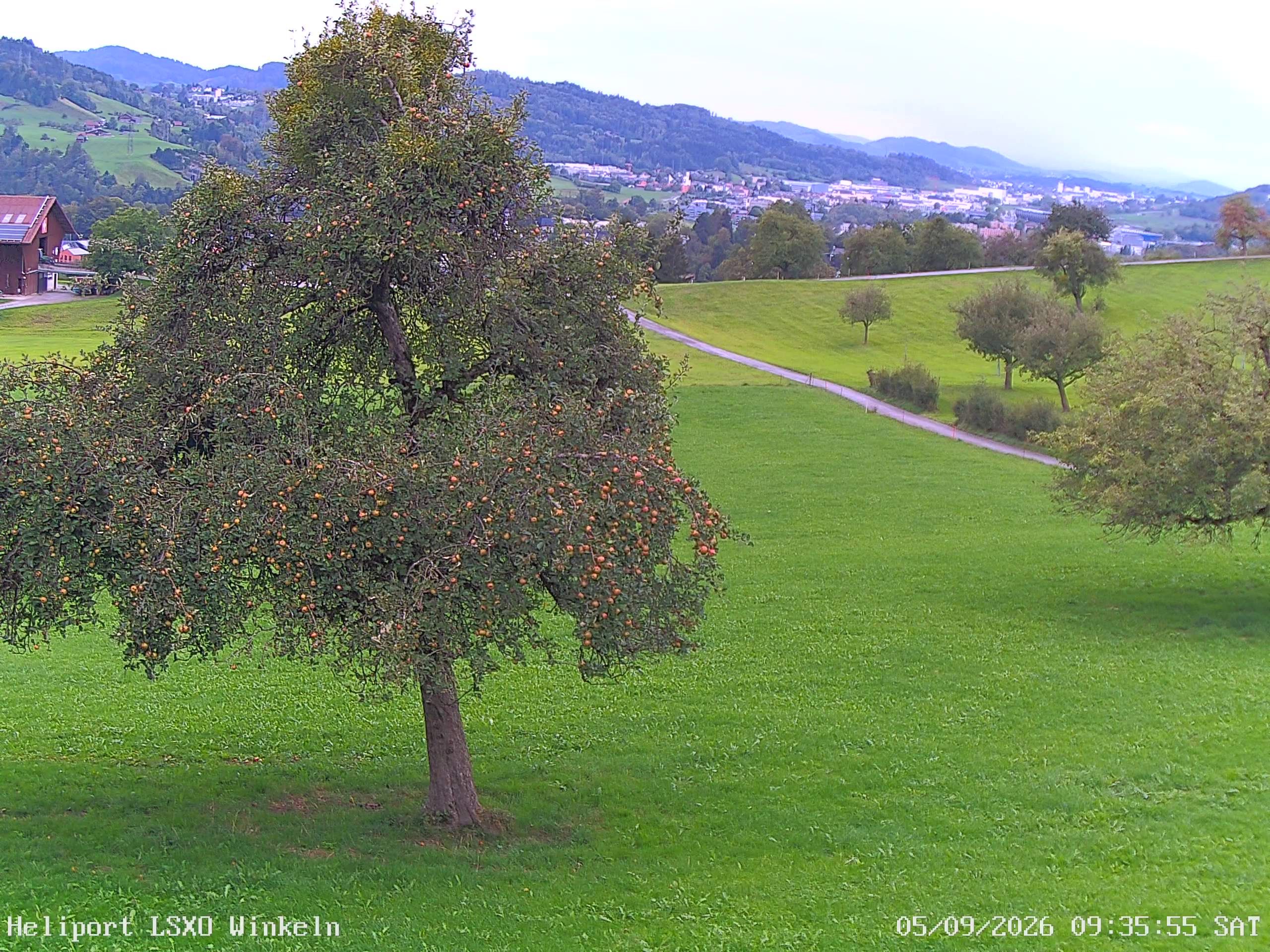 Sankt Gallen › Westen: Winkeln