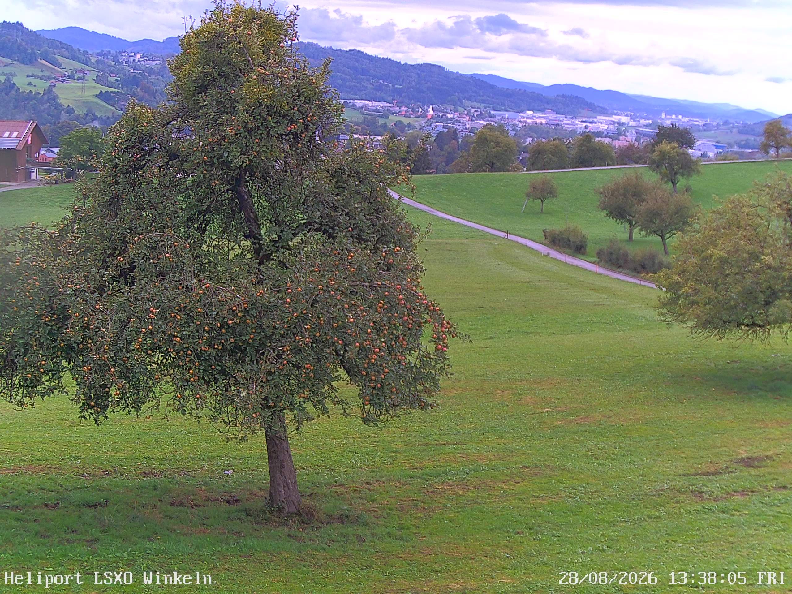 Sankt Gallen › Westen: Winkeln