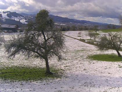 Sankt Gallen › West: Winkeln