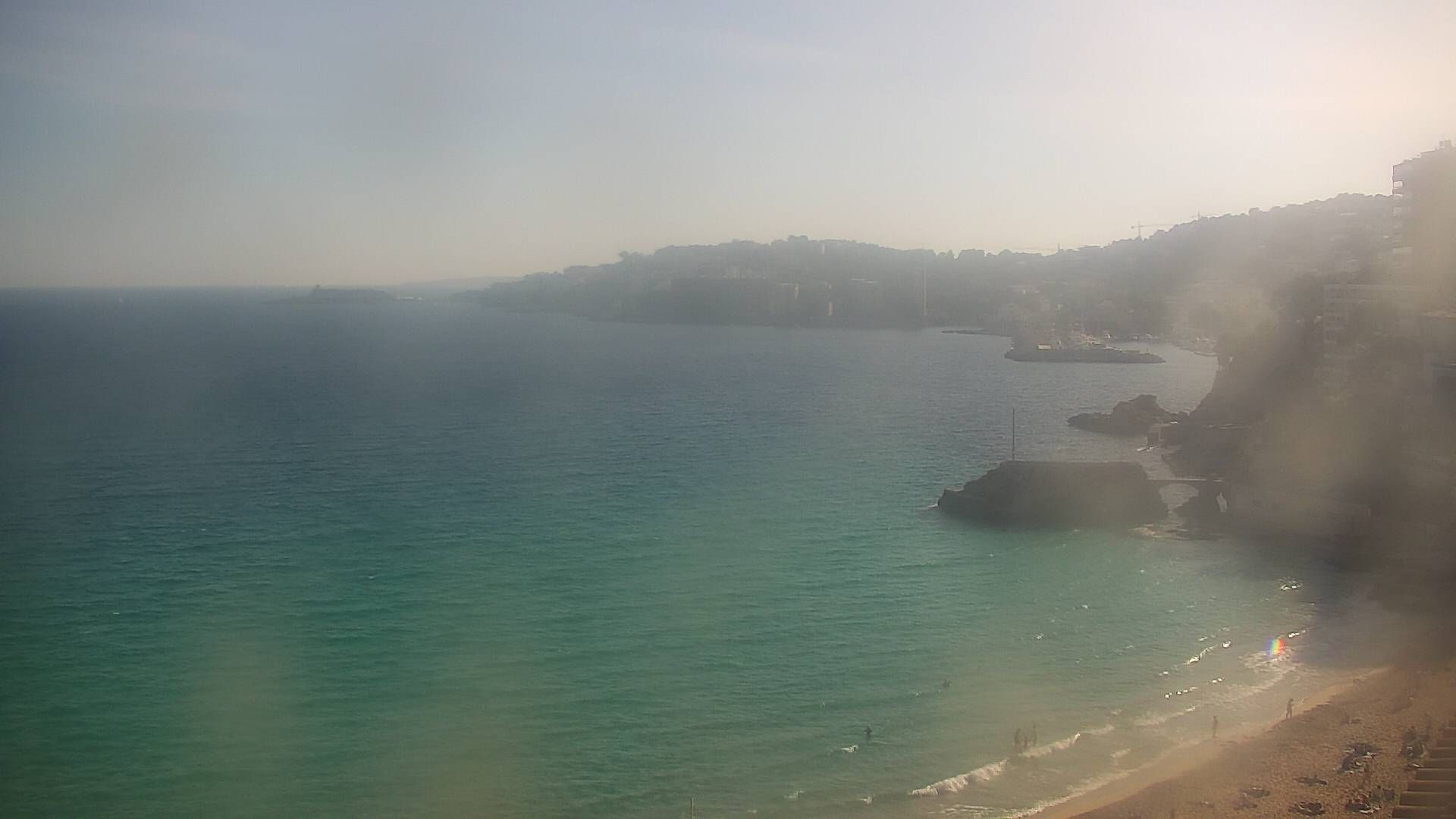 Palma