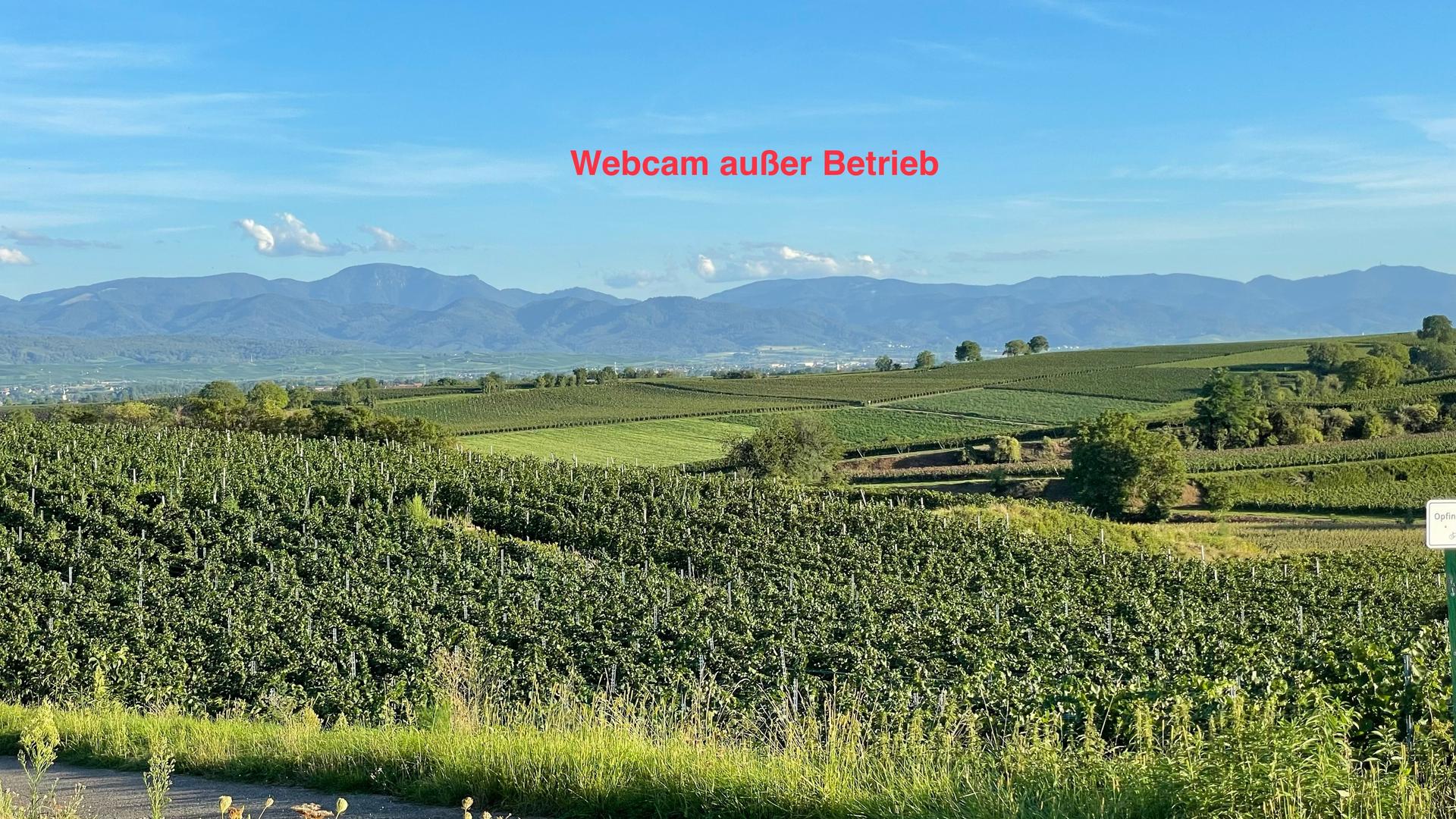 Merdingen weather Webcam