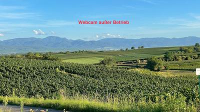 Merdingen weather webcam