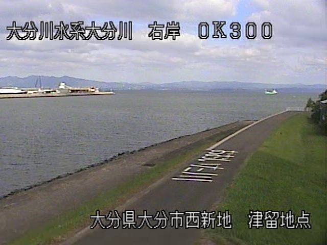Oita during daytime