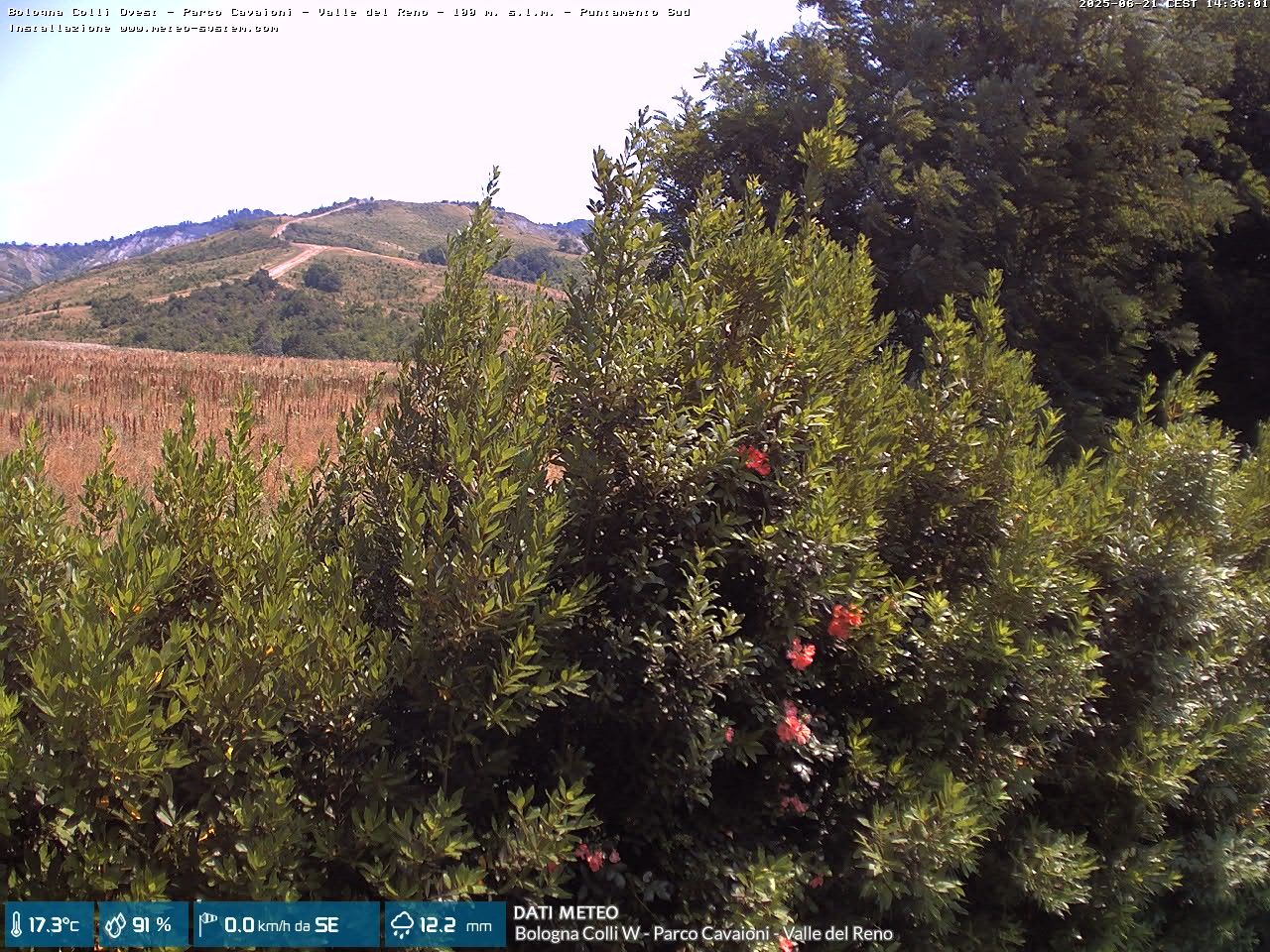 Traffic Cam Zola Predosa › West