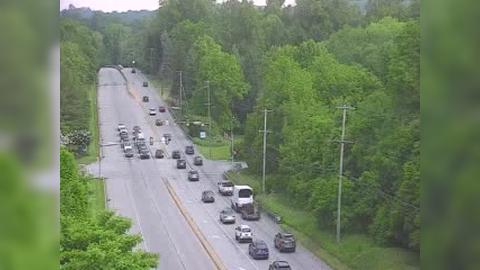 Traffic Cam Birmingham Township: US 202 @ GREEN TREE DR