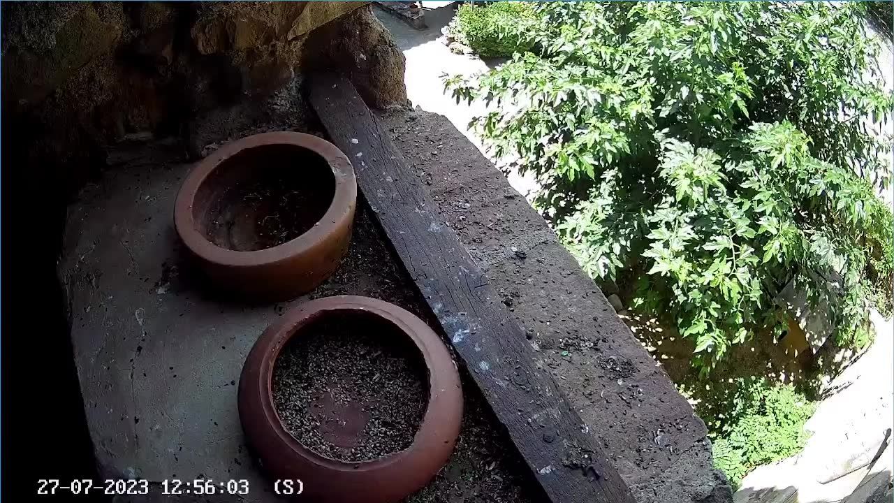 Traffic Cam Esponella