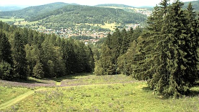 Viernau mountain Webcam