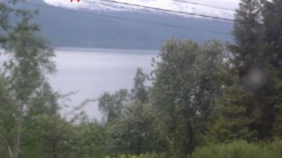 Hauknes i dag