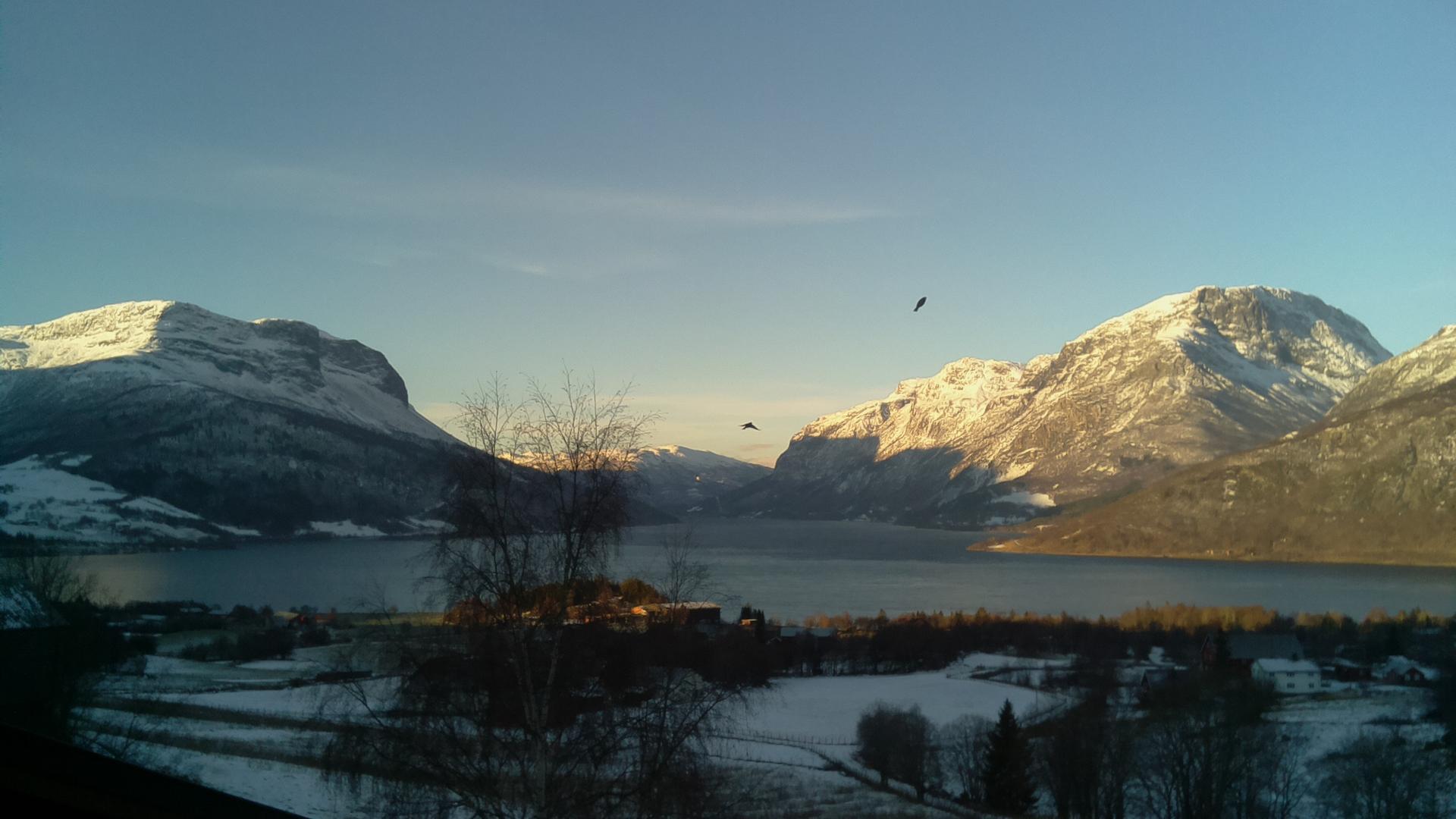 Windy Webkamerak Vang Vangsmjose Skutshorn Vennisfjellet