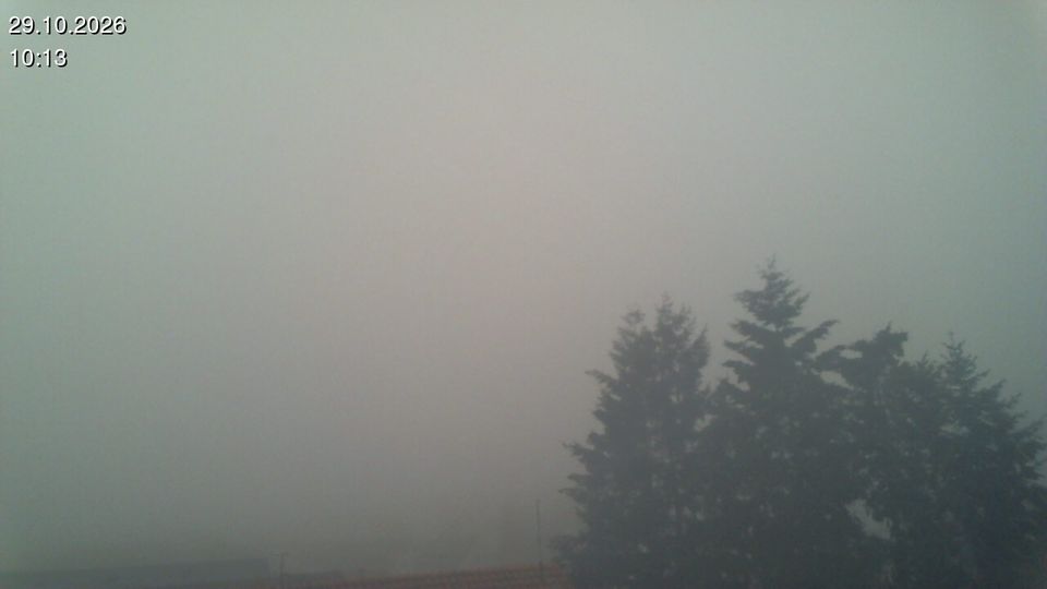 Ulm during daytime