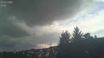 Ulm today