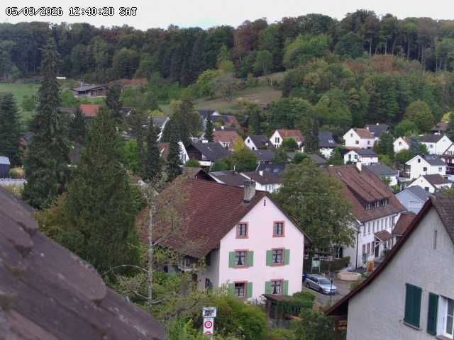 Bettingen › Westen