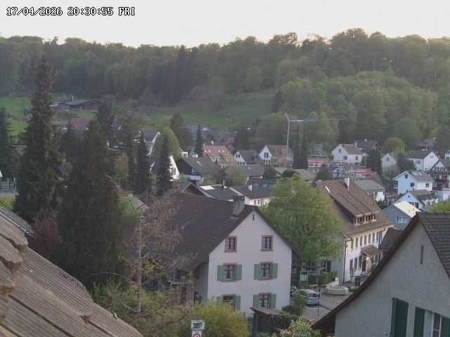 Bettingen › Westen