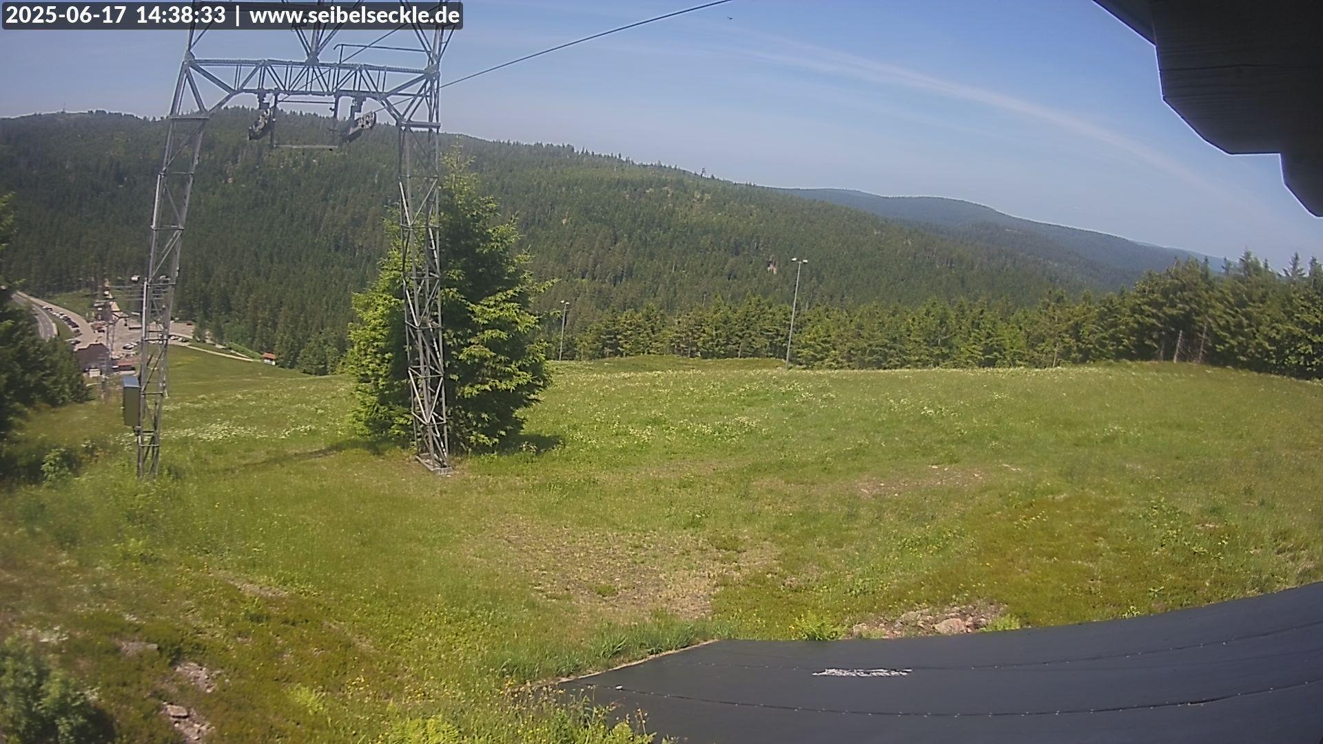 Hinterseebach forest Webcam