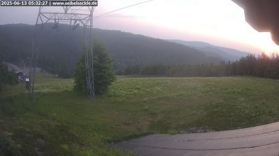 Hinterseebach forest webcam