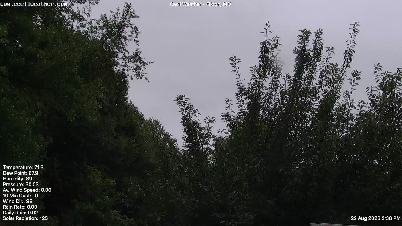 Traffic Cam Elkton › East
