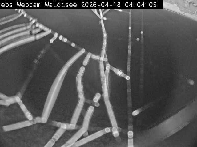 Muotathal › Süden