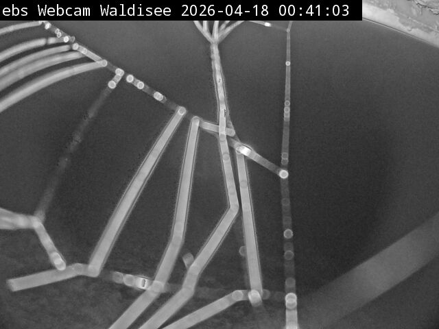 Muotathal › Süden