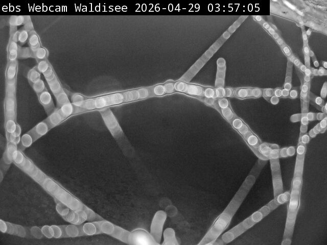 Muotathal › Süden