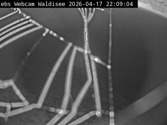 Muotathal › Süden