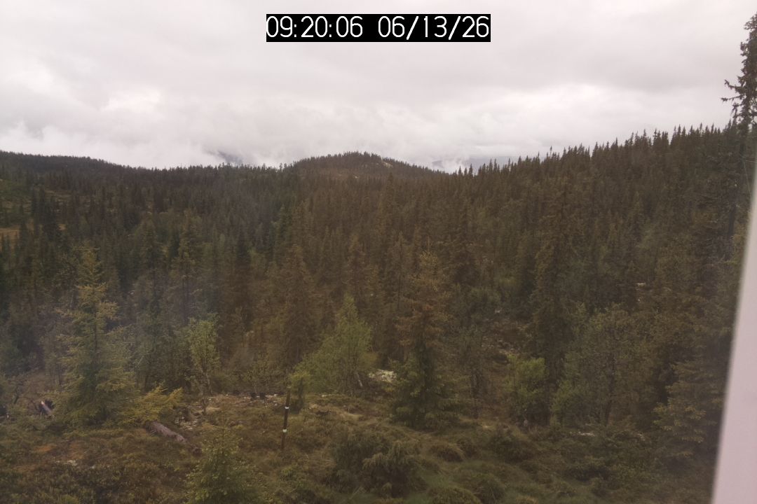Traffic Cam Nesbyen › West
