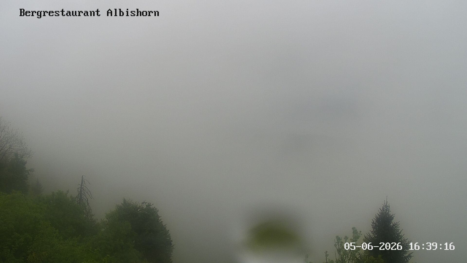 Hausen am Albis: Bergrestaurant Albishorn