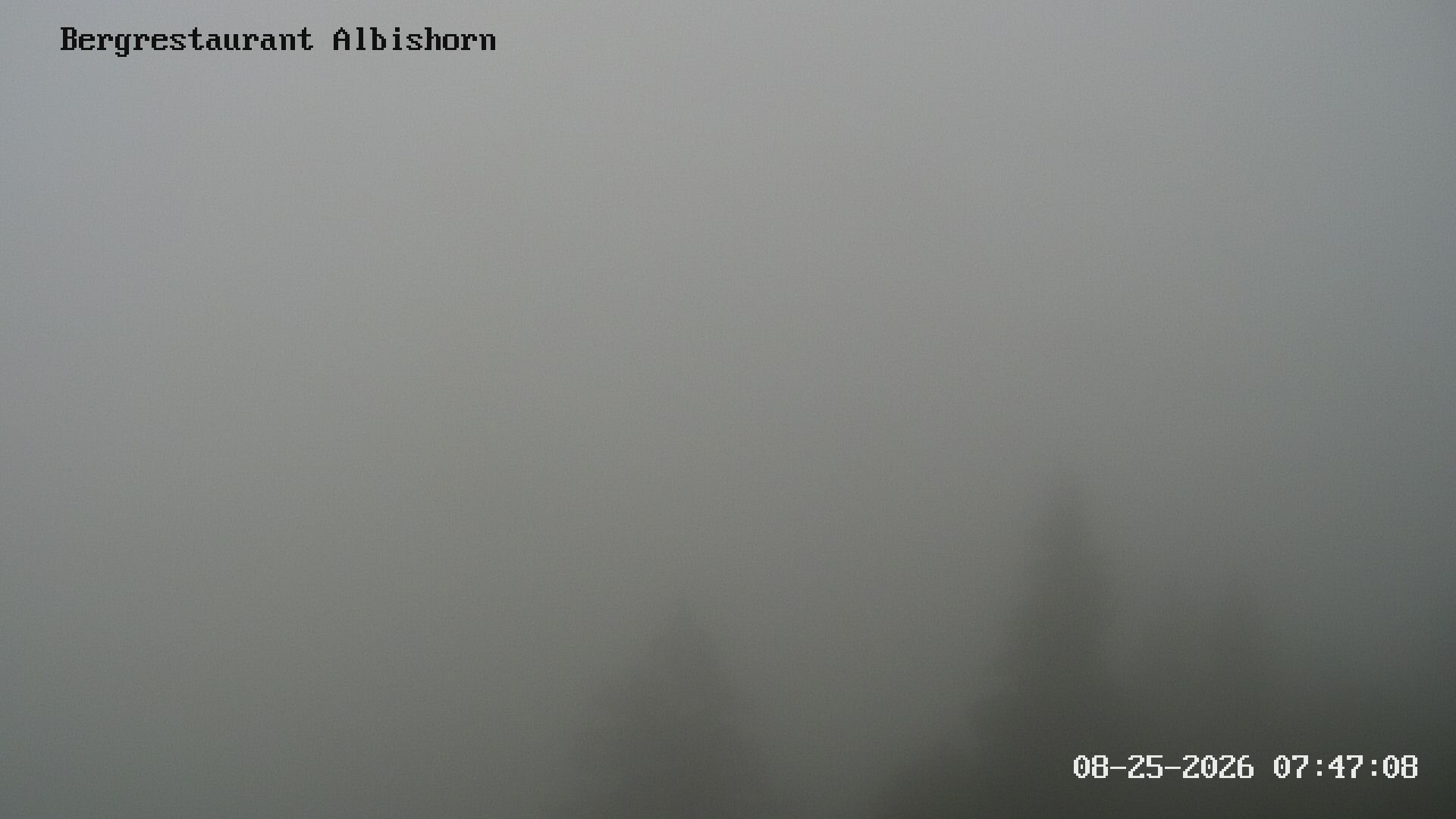 Hausen am Albis: Bergrestaurant Albishorn