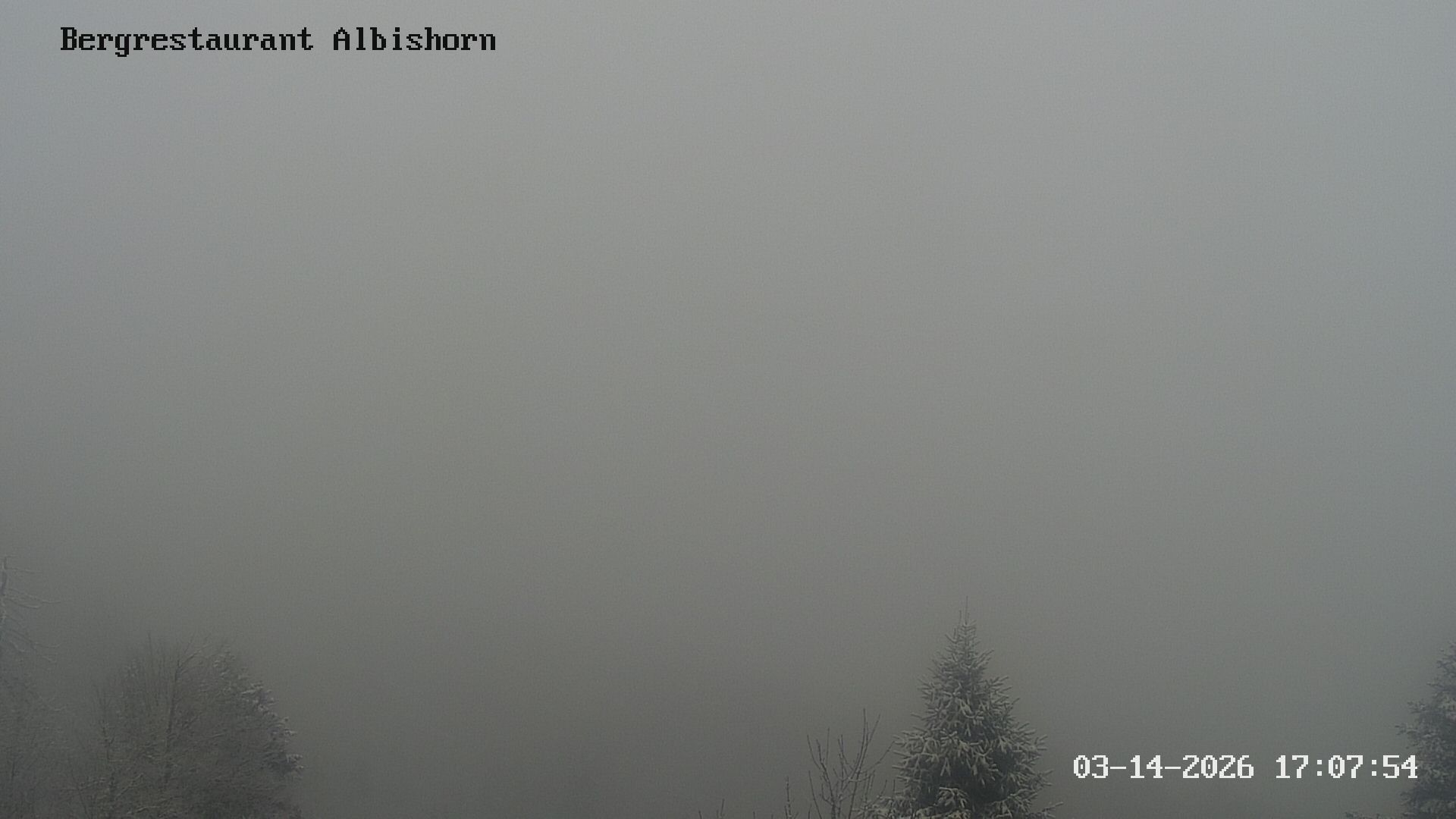 Hausen am Albis: Bergrestaurant Albishorn