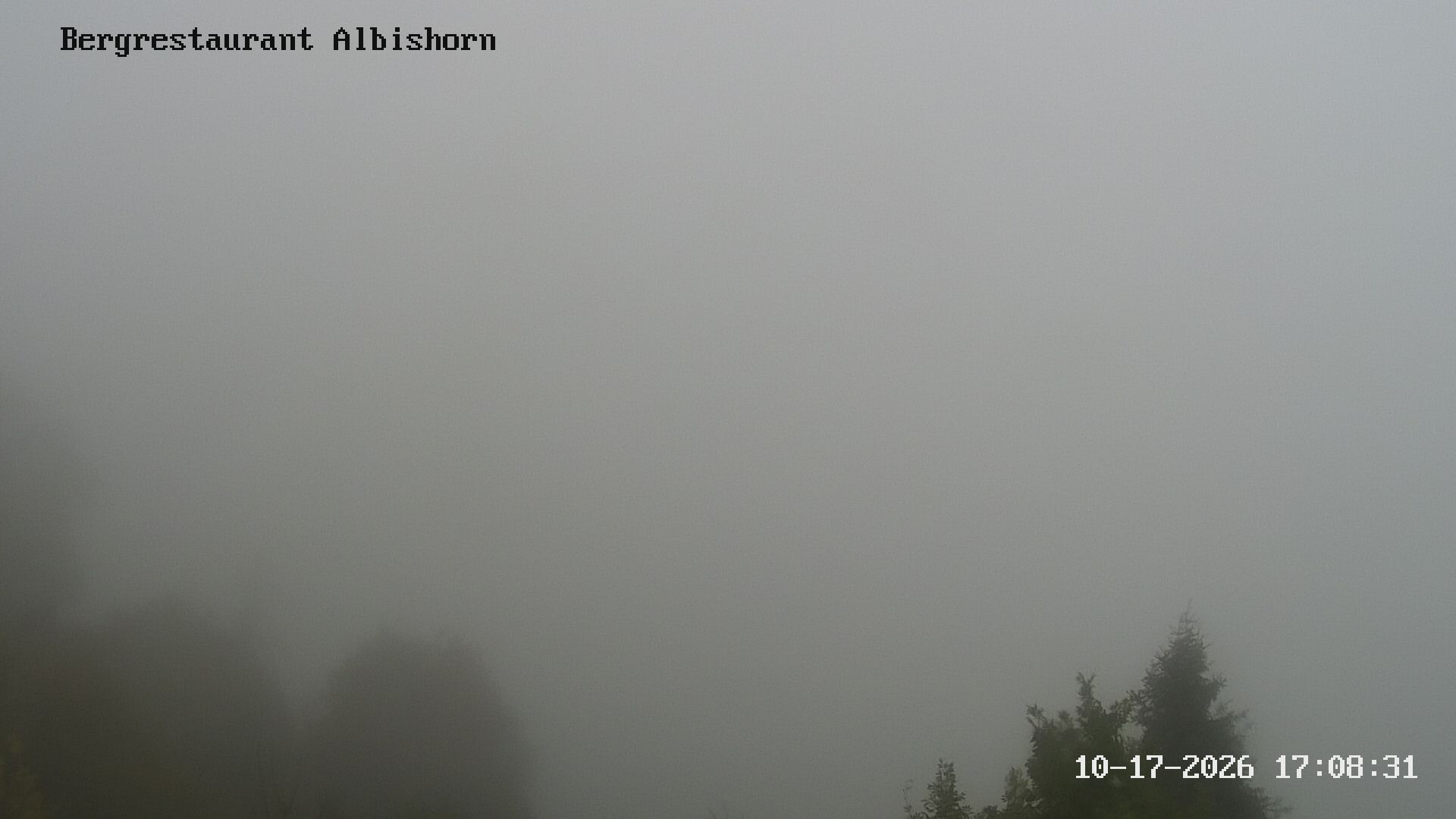 Hausen am Albis: Bergrestaurant Albishorn
