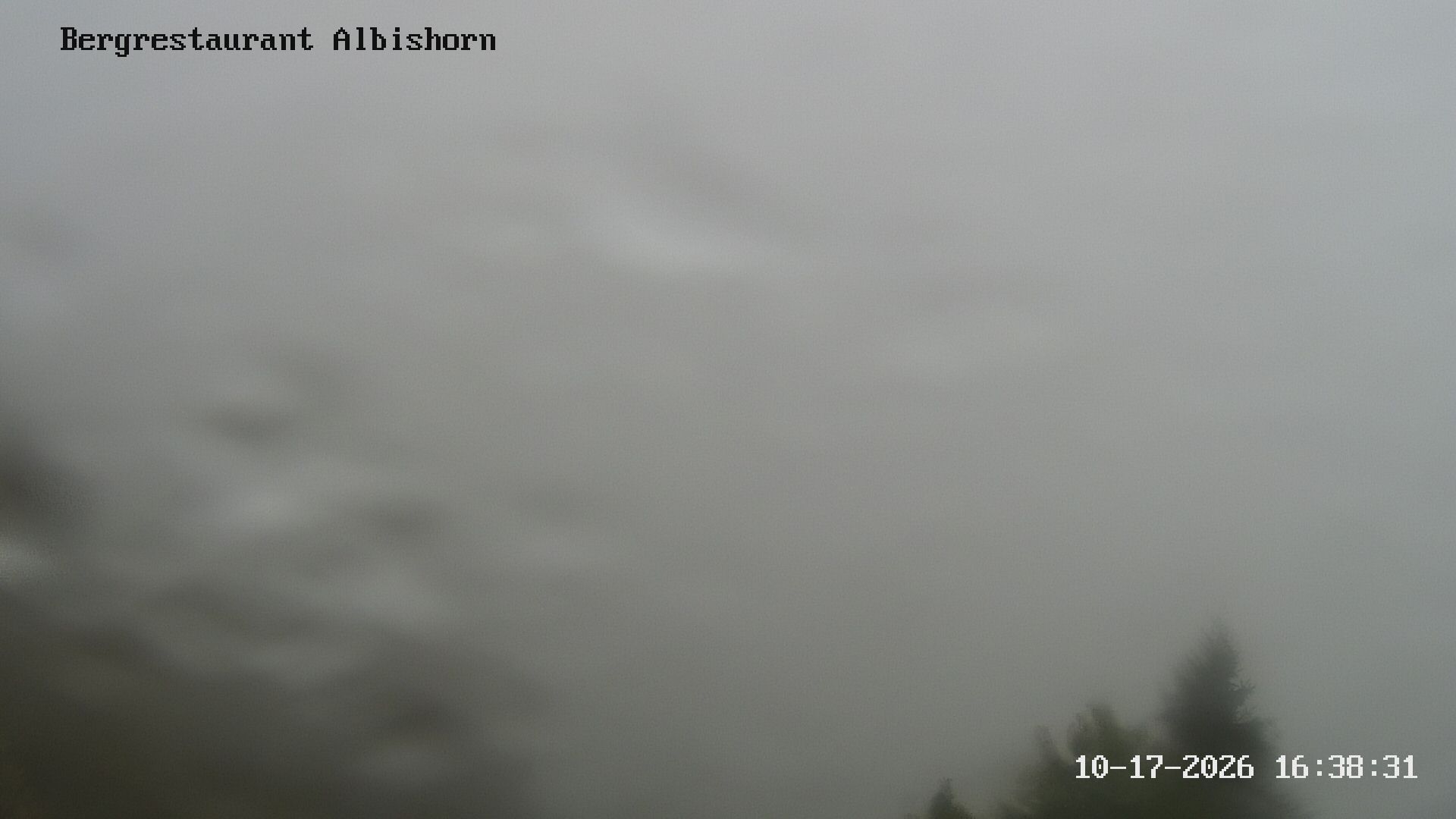 Hausen am Albis: Bergrestaurant Albishorn