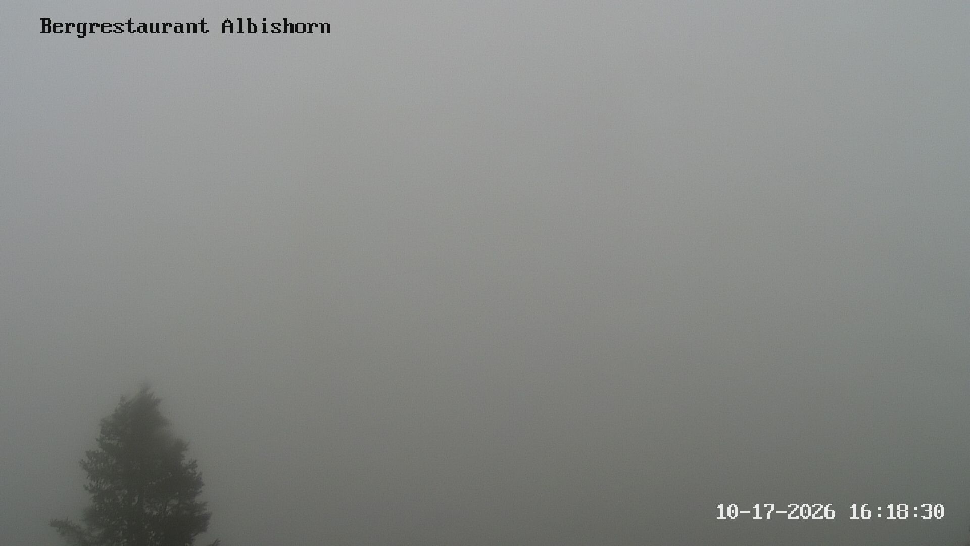 Hausen am Albis: Bergrestaurant Albishorn