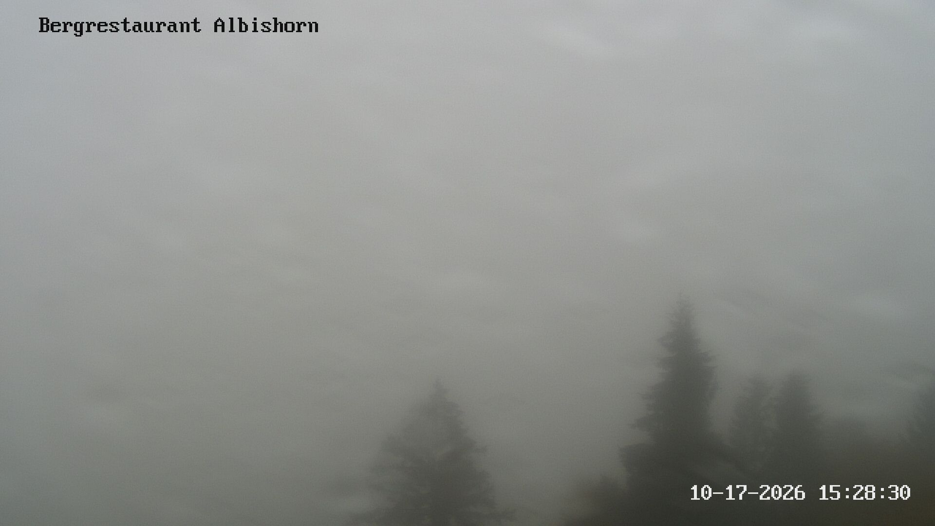 Hausen am Albis: Bergrestaurant Albishorn