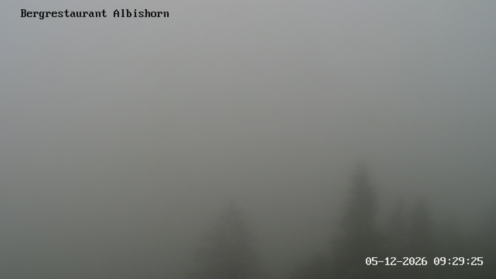 Hausen am Albis: Bergrestaurant Albishorn