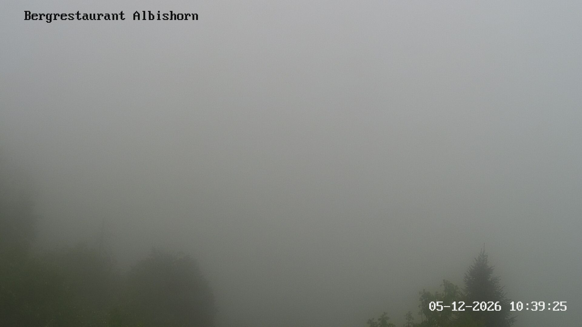 Hausen am Albis: Bergrestaurant Albishorn