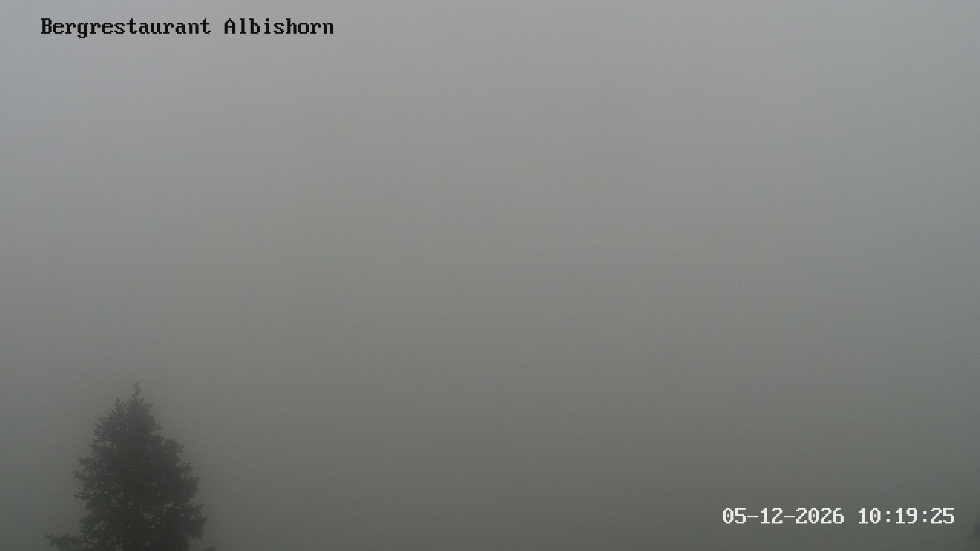 Hausen am Albis: Bergrestaurant Albishorn
