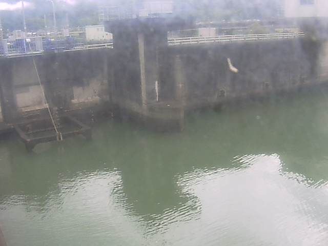 Tokyo webcam