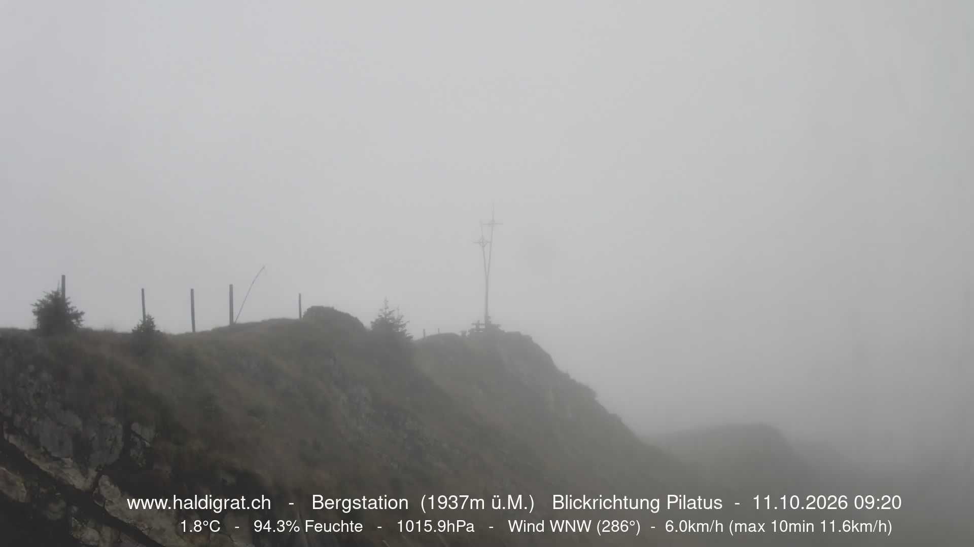 Wolfenschiessen › Westen: Haldigrat
