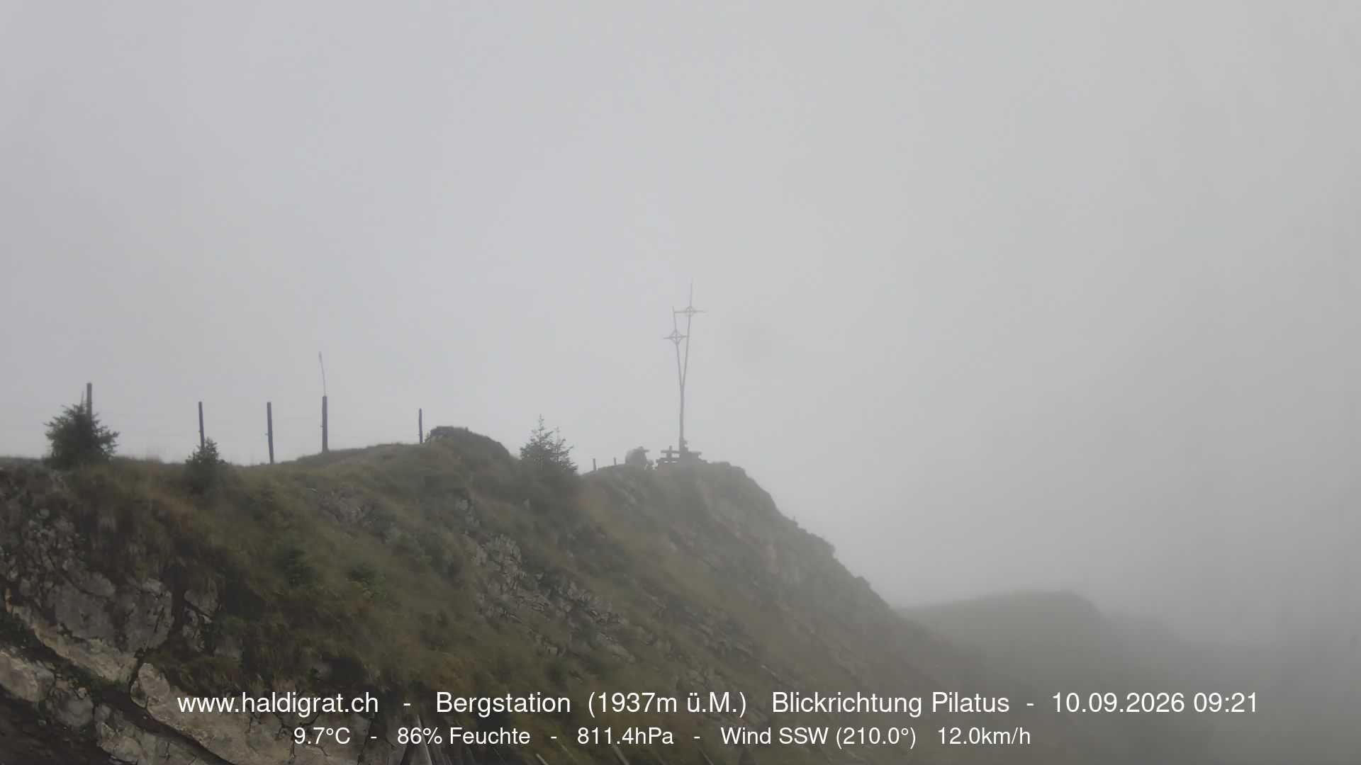 Wolfenschiessen › Westen: Haldigrat